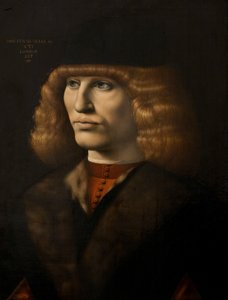 Portrét mladého muže, cca 1500 (olej na panelu) od Giovanni Antonio Boltraffio