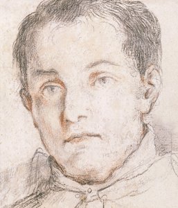 Portrét mladého muže, od Giovanni Antonio Burrini or Burino
