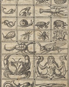 Příklad recammi, strana 11 recto, 1530.