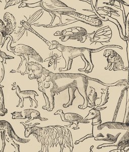 Příklad recammi, strana 13 recto, 1530.