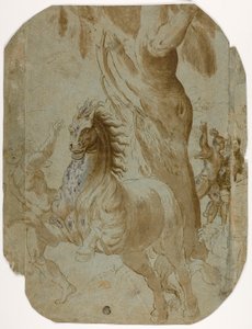 Obrácení sv. Pavla (recto); Muž viděný zezadu (verze) od Giovanni Antonio da Pordenone