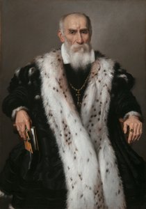 Portrét Gian Girolamo Albani 1504-1591, 1573. od Giovanni Battista Moroni