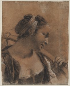 Portrét Rosy s nárameníkem od Giovanni Battista Piazzetta