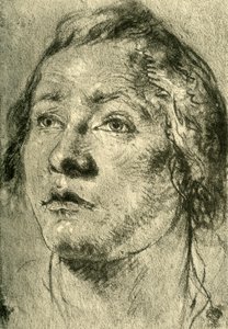 Hlava mladého muže, polovina 18. století, 1928 od Giovanni Battista Tiepolo