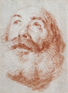 Hlava starého muže, který vzhlédl, od Giovanni Battista Tiepolo