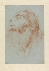 Hlava starého muže od Giovanni Battista Tiepolo