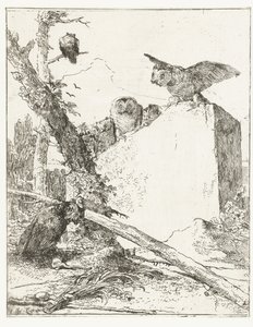 Titulní tisk pro Scherzi di fantasia se sovami u kamene Scherzi di Fantasia (název série) od Giovanni Battista Tiepolo