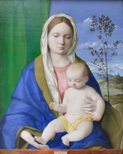 Madona s dítětem, kolem roku 1500 (olej na desce) od Giovanni Bellini
