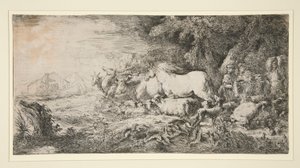 Zvířata vstupující do Noema od Giovanni Benedetto Castiglione