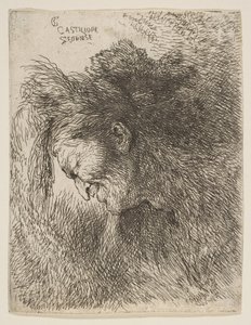 Hlava starého muže hledícího dolů, čelem doleva, ze série malých hlav v ..., ca. 1645-1650. od Giovanni Benedetto Castiglione