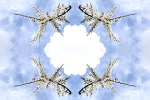 Unnatural 115 (digitálně upravená fotografie) od Giovanni Cafagna