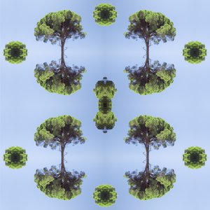 Unnatural 118 (digitálně upravená fotografie)