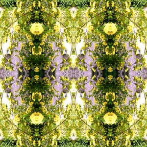 Unnatural 150 (digitálně upravená fotografie) od Giovanni Cafagna