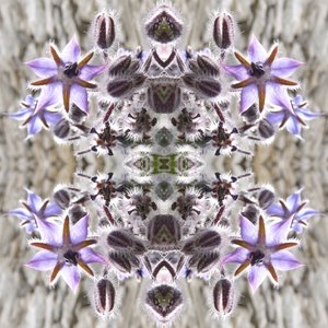Unnatural 159 (digitálně upravená fotografie) od Giovanni Cafagna