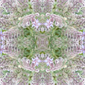 Unnatural 161 (digitálně upravená fotografie) od Giovanni Cafagna