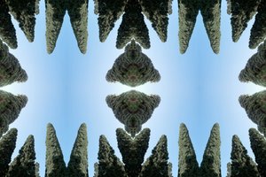 Unnatural 169 (digitálně upravená fotografie) od Giovanni Cafagna