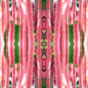 Unnatural 172 (digitálně upravená fotografie) od Giovanni Cafagna