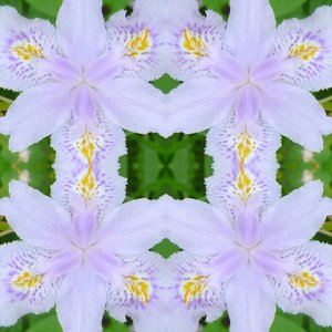 Unnatural 174 (digitálně upravená fotografie) od Giovanni Cafagna