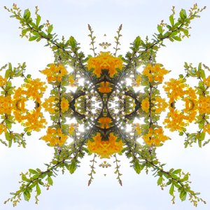 Unnatural 175 (digitálně upravená fotografie) od Giovanni Cafagna