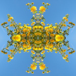Unnatural 193 (digitálně upravená fotografie) od Giovanni Cafagna