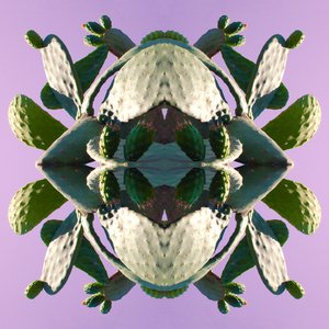 Unnatural 196 (digitálně upravená fotografie) od Giovanni Cafagna