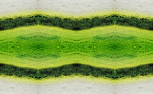 Nepřirozené 2.1 (digitálně upravená fotografie)