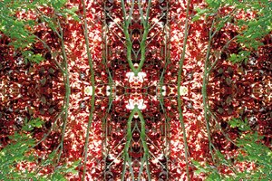 Unnatural 23 (digitálně upravená fotografie) od Giovanni Cafagna