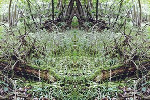 Unnatural 33 (digitálně upravená fotografie) od Giovanni Cafagna