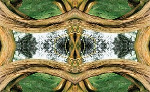 Unnatural 37 (digitálně upravená fotografie) od Giovanni Cafagna
