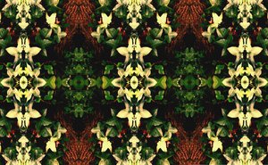 Unnatural 43 (digitálně upravená fotografie) od Giovanni Cafagna