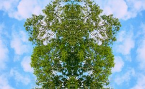 Unnatural 46 (digitálně upravená fotografie) od Giovanni Cafagna