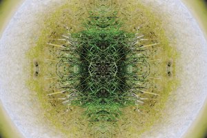 Nepřirozené 6.1 (digitálně upravená fotografie) od Giovanni Cafagna