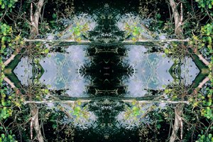 Unnatural 73 (digitálně upravená fotografie) od Giovanni Cafagna