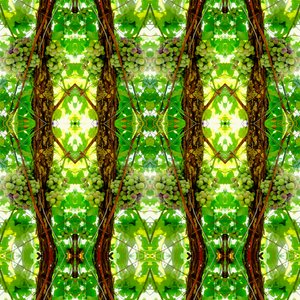 Unnatural 74 (digitálně upravená fotografie) od Giovanni Cafagna