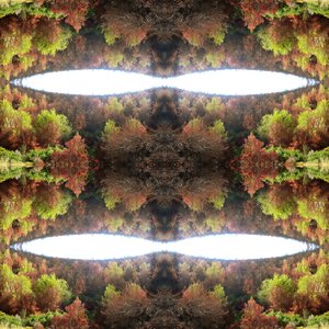 Nepřirozený 77.1 (digitálně upravená fotografie)