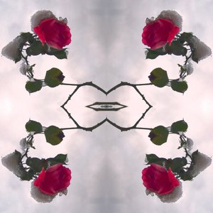 Unnatural 80 (digitálně upravená fotografie) od Giovanni Cafagna