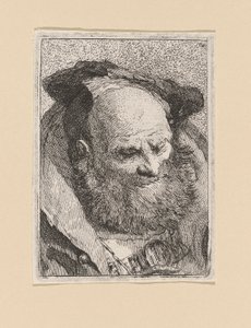Bearded Old Man, from the Raccolta di Teste (Collection of Heads)   1337435   cs       czech Successfully Translated  Original: A Peasants House at a Lake Translat: A Peasant