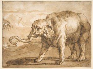 Slon v krajině od Giovanni Domenico Tiepolo