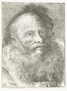 Muž s plnovousem a pokrývkou hlavy s peřím Sbírka hlav (název série) Raccolta di Teste (název série) od Giovanni Domenico Tiepolo
