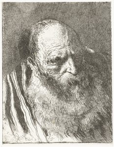 Muž s plnovousem v pruhovaném plášti Sbírka hlav (název série) Raccolta di Teste (název série) od Giovanni Domenico Tiepolo