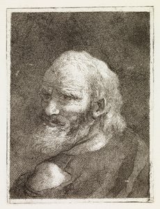 Zobrazení starého muže zezadu od Giovanni Domenico Tiepolo