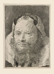 Starý muž s plnovousem, z Raccolta di Teste (Sbírka hlav) od Giovanni Domenico Tiepolo