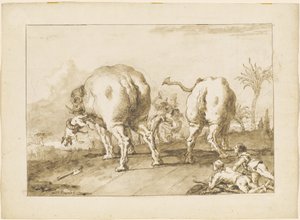 Dva řádící sloni od Giovanni Domenico Tiepolo