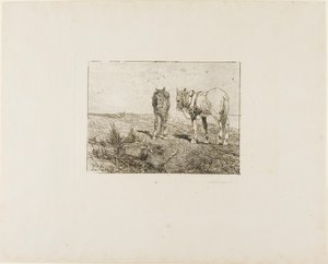 Odpočinek koní od Giovanni Fattori