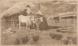 Voli zapřažení do vozu (Maremma) (Bovi al carro (Maremma))