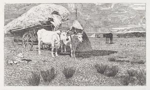  od Giovanni Fattori