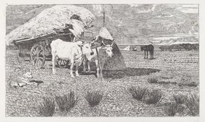 Voli zapřaženi do povozu (Maremma) [Bovi al carro (Maremma)] od Giovanni Fattori