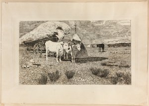 Voli a vůz (Maremma) od Giovanni Fattori