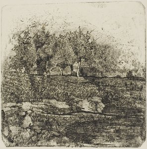 Stromy na louce od Giovanni Fattori