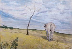 Bílý kůň, Giovanni Fattori (1825-1908) od Giovanni Fattori